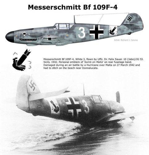 More information about "Bf 109F-4 (Jabo) Unteroffizer Dr Felix Sauer, 10/JG53, Santo Pietro Airfield, Sicily 1942"