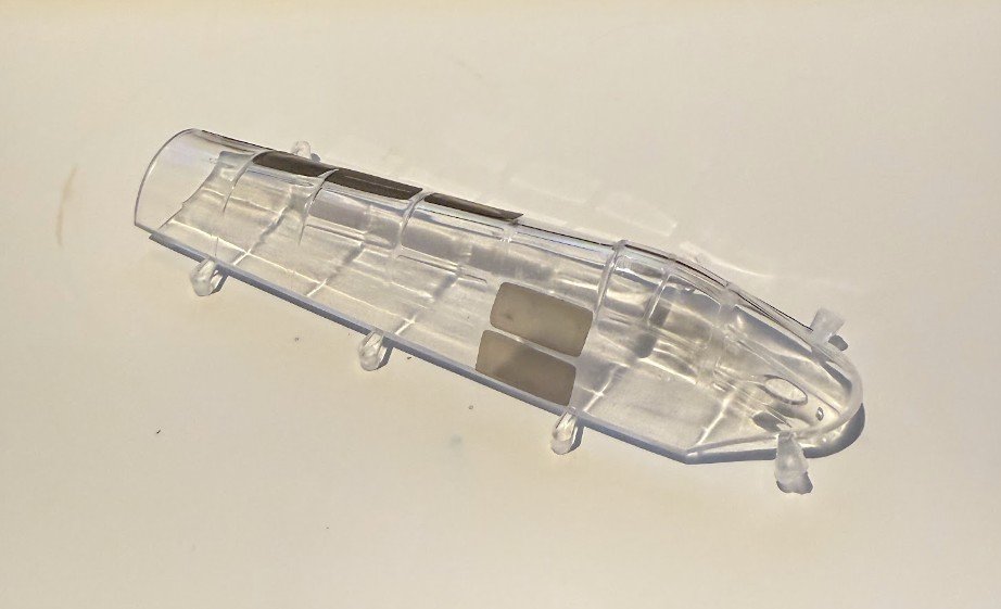 TBDCanopy1.jpg