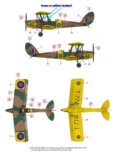 Tiger Moth 25 (Polish) EFTS markings.studio3
